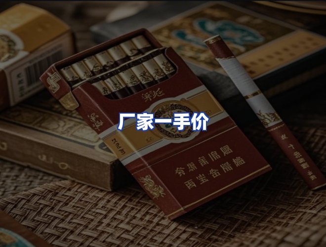 专业团队
